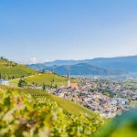 Herbst, Teich, Tilt Shift, Tramin, Weinberge