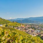 Herbst, Teich, Tilt Shift, Tramin, Weinberge