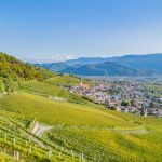 Gewürztraminer Weinweg, Herbst, Teich, Tilt Shift, Tramin, Weinberge