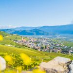 Gewürztraminer Weinweg, Herbst, Teich, Tilt Shift, Tramin, Weinberge