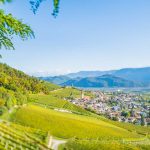 Gewürztraminer Weinweg, Herbst, Teich, Tilt Shift, Tramin, Weinberge