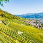 Gewürztraminer Weinweg, Herbst, Teich, Tilt Shift, Tramin, Weinberge