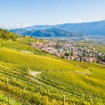 Gewürztraminer Weinweg, Herbst, Teich, Tilt Shift, Tramin, Weinberge