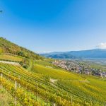 Gewürztraminer Weinweg, Herbst, Teich, Tramin, Weinberge