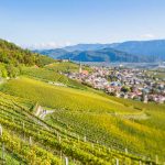 Gewürztraminer Weinweg, Herbst, Teich, Tilt Shift, Tramin, Weinberge