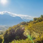 Gewürztraminer Weinweg, Herbst, Teich, Tilt Shift, Tramin, Weinberge