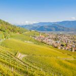 Gewürztraminer Weinweg, Herbst, Teich, Tilt Shift, Tramin, Weinberge