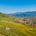 Gewürztraminer Weinweg, Herbst, Teich, Tilt Shift, Tramin, Weinberge