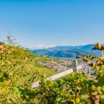 Gewürztraminer Weinweg, Herbst, Teich, Tilt Shift, Tramin, Weinberge