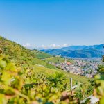 Gewürztraminer Weinweg, Herbst, Teich, Tramin, Weinberge