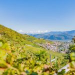 Gewürztraminer Weinweg, Herbst, Teich, Tramin, Weinberge