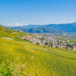 Gewürztraminer Weinweg, Herbst, Teich, Tilt Shift, Tramin, Weinberge