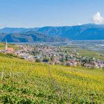 Gewürztraminer Weinweg, Herbst, Teich, Tilt Shift, Tramin, Weinberge