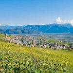 Gewürztraminer Weinweg, Herbst, Teich, Tilt Shift, Tramin, Weinberge