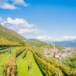 Gewürztraminer Weinweg, Herbst, Teich, Tilt Shift, Tramin, Weinberge