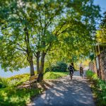 Rad fahren, Runggner Weg, Teich, Tilt Shift