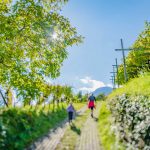 Teich, Tilt Shift, Weinberge, Weinlehrpfad, Weinlehrpfad Kurtatsch