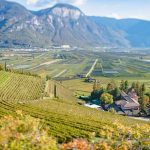 Entiklar, Teich, Tiefenbrunner, Tilt Shift, Weinberge