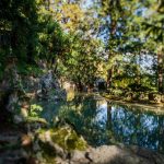 Teich, Tiefenbrunner, Tilt Shift