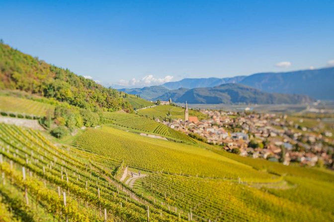 Gewürztraminer Weinweg, Herbst, Teich, Tilt Shift, Tramin, Weinberge