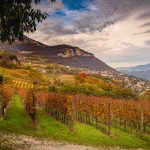 Herbst, Kurtatsch, Leitnweg, Weinberge