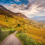 Herbst, Kurtatsch, Leitnweg, Weinberge