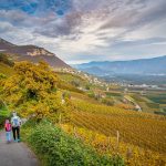 Herbst, Kurtatsch, Leitnweg, wandern, Weinberge