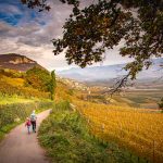 Herbst, Leitnweg