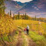 Entiklar, wandern, Weinberge