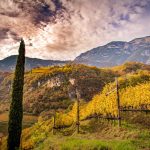 Entiklar, Herbst, Penon, Weinberge