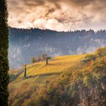 Herbst, Kurtatsch, Weinberge