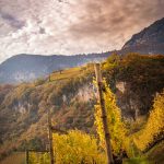 Herbst, Kurtatsch, Weinberge