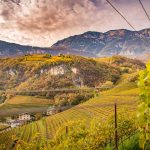 Herbst, Kurtatsch, Weinberge