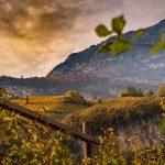 Herbst, Kurtatsch, Weinberge