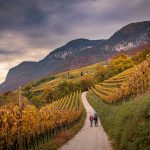 Herbst, Kurtatsch, Penon, wandern