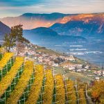 Herbst, Kurtatsch, Weinberge