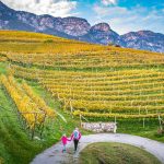 Lahnsteig, Lahnweg, Penon, wandern, Weinberge