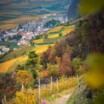 Herbst, Lahnweg, Margreid, wandern