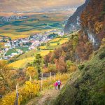 Herbst, Lahnweg, Margreid, wandern