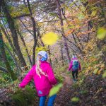 Herbst, Lahnweg, wandern