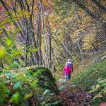 Herbst, Lahnweg, wandern