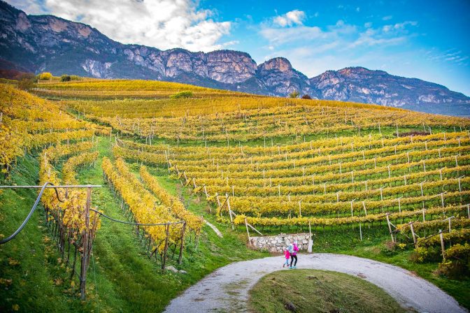 Lahnsteig, Lahnweg, Penon, wandern, Weinberge