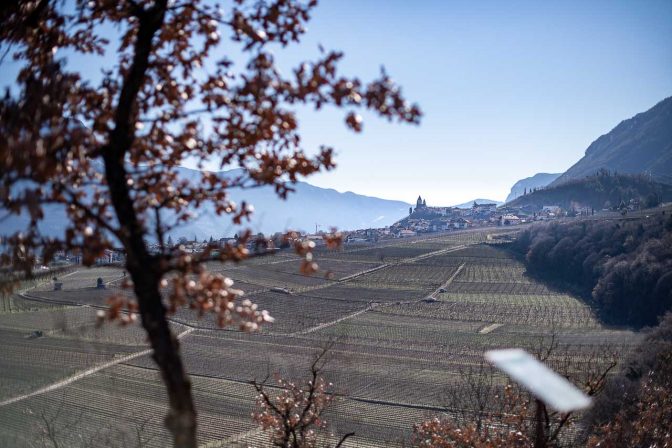 Blick nach Tramin vom Naturerlebnisweg Tramin aus gesehen