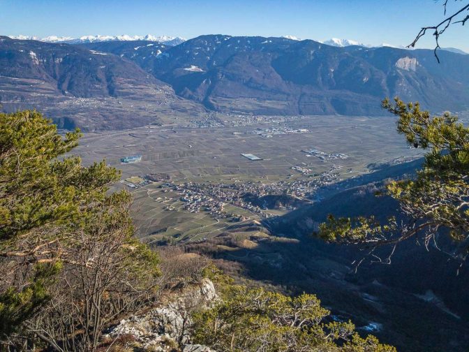 Blick auf Tramin von der