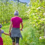 Frühling, spazieren, Spaziergang