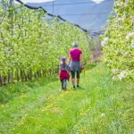 Frühling, spazieren, Spaziergang