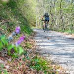 Frühling, Frühlings-Platterbse, Kastelazweg, Mountainbike, Rad fahren