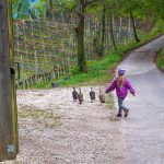 Kinder, Laufenten