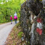 Entiklar, Leitnweg, spazieren, wandern