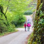 Entiklar, Leitnweg, spazieren, wandern